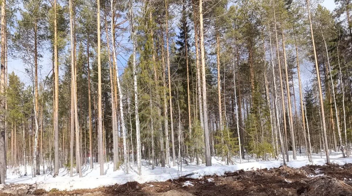 земля г Сыктывкар пгт Верхняя Максаковка Яг-кар мкр фото 1