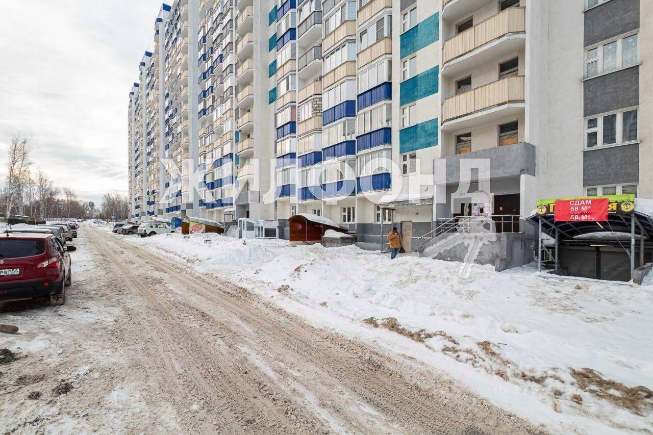 квартира г Новосибирск р-н Первомайский Берёзовое ул Одоевского 1/8 фото 4