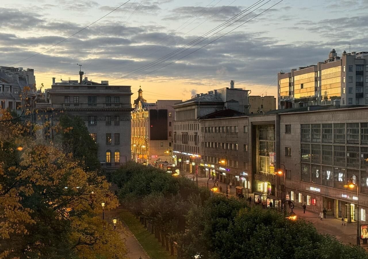 квартира г Санкт-Петербург метро Петроградская пр-кт Каменноостровский 41 округ Аптекарский остров, Петроградка фото 2