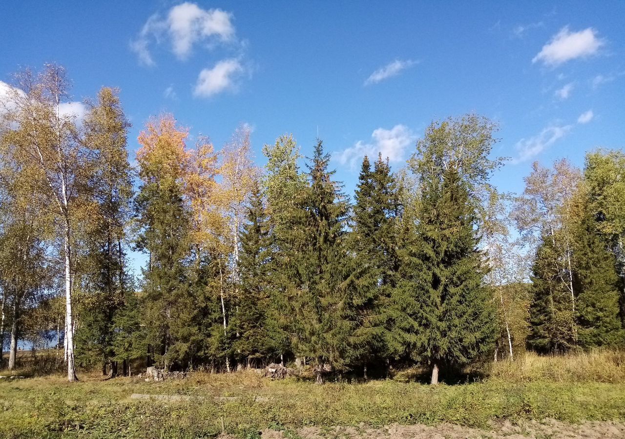 земля г Чусовой д Шалашная Полазна фото 2