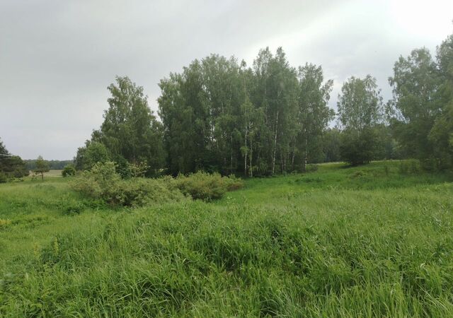 земля р-н Богородский г Богородск дп. Чешские сады, Центральная ул фото