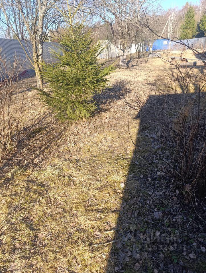 земля г Электросталь ул Восточная 65 Павлово-Посадский городской округ фото 6