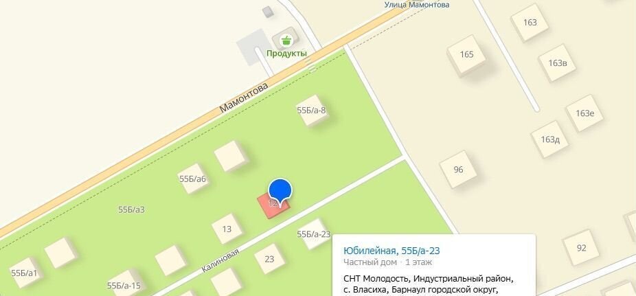 земля г Барнаул р-н Индустриальный ул Юбилейная Власиха, 55Б/А 12 фото 2