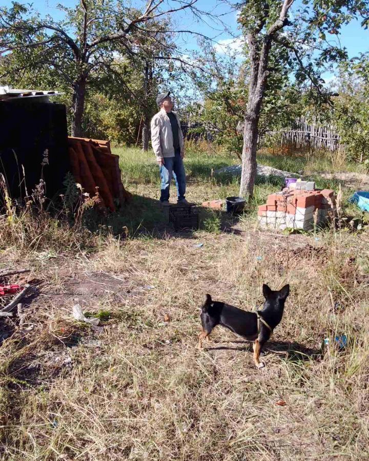 дом г Самара ЖК Воскресенский 38я сельское поселение Воскресенка, дачный массив, линия, Волжский р-н, СДТ, Солнечное фото 1