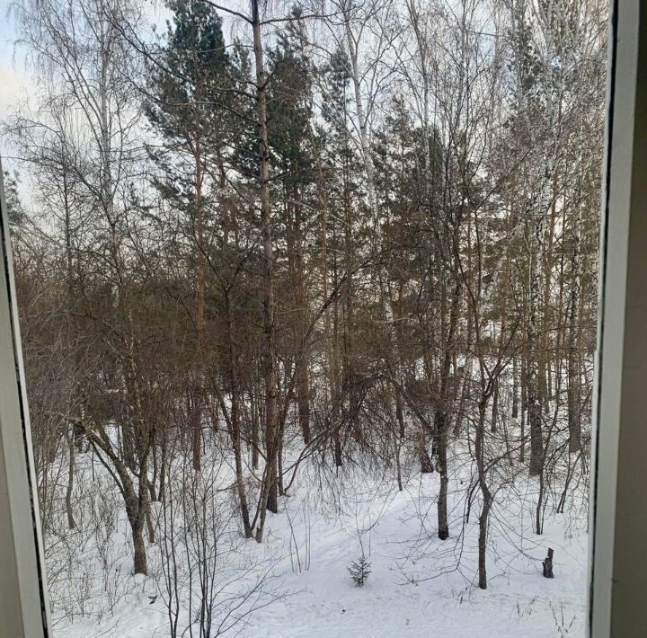 квартира г Красноярск р-н Октябрьский ул Академгородок 11 фото 36