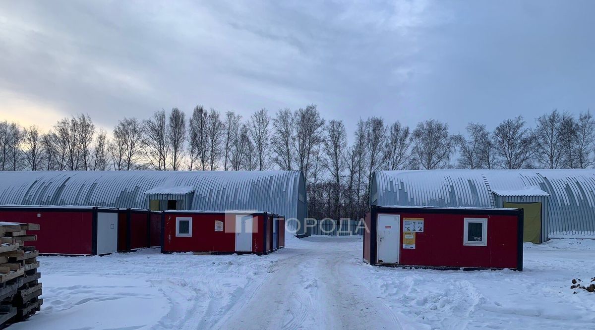 производственные, складские г Новосибирск снт Золотая осень Площадь Маркса, ул. Земляничная, 31 фото 2