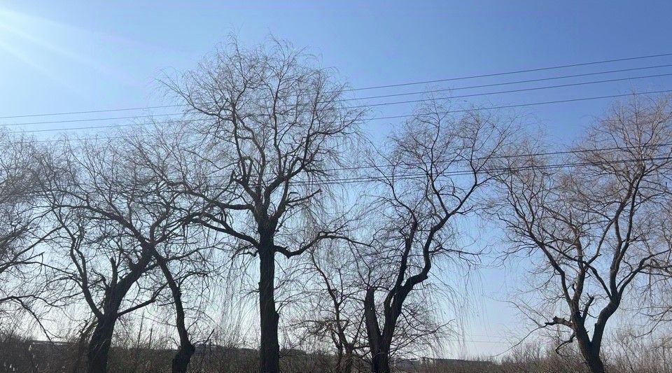 офис г Урюпинск ул Большая Мушкетовская 72б фото 1