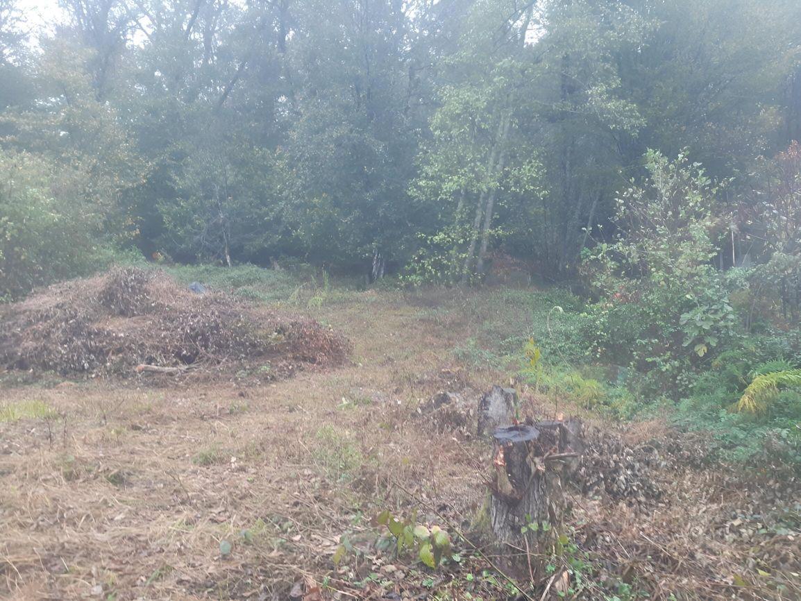 земля г Сочи с Казачий Брод р-н Адлерский внутригородской с Верхнениколаевское пер Западный фото 4