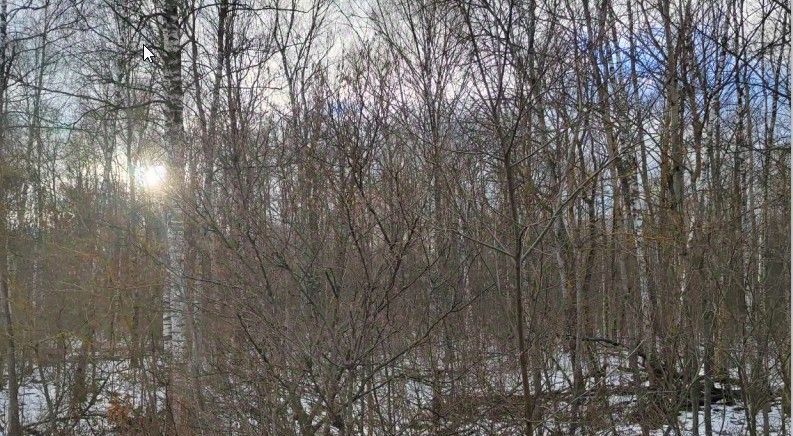 офис городской округ Чехов д Ваулово фото 1