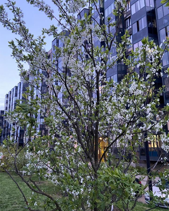 квартира городской округ Наро-Фоминский г Апрелевка ул Ясная 8 Апрелевка фото 34