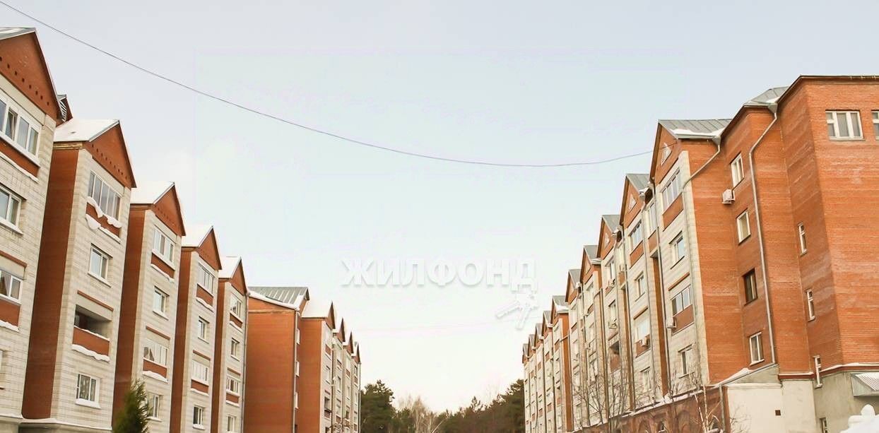 квартира г Новосибирск Речной вокзал ул Зеленая Горка 11/1 фото 6