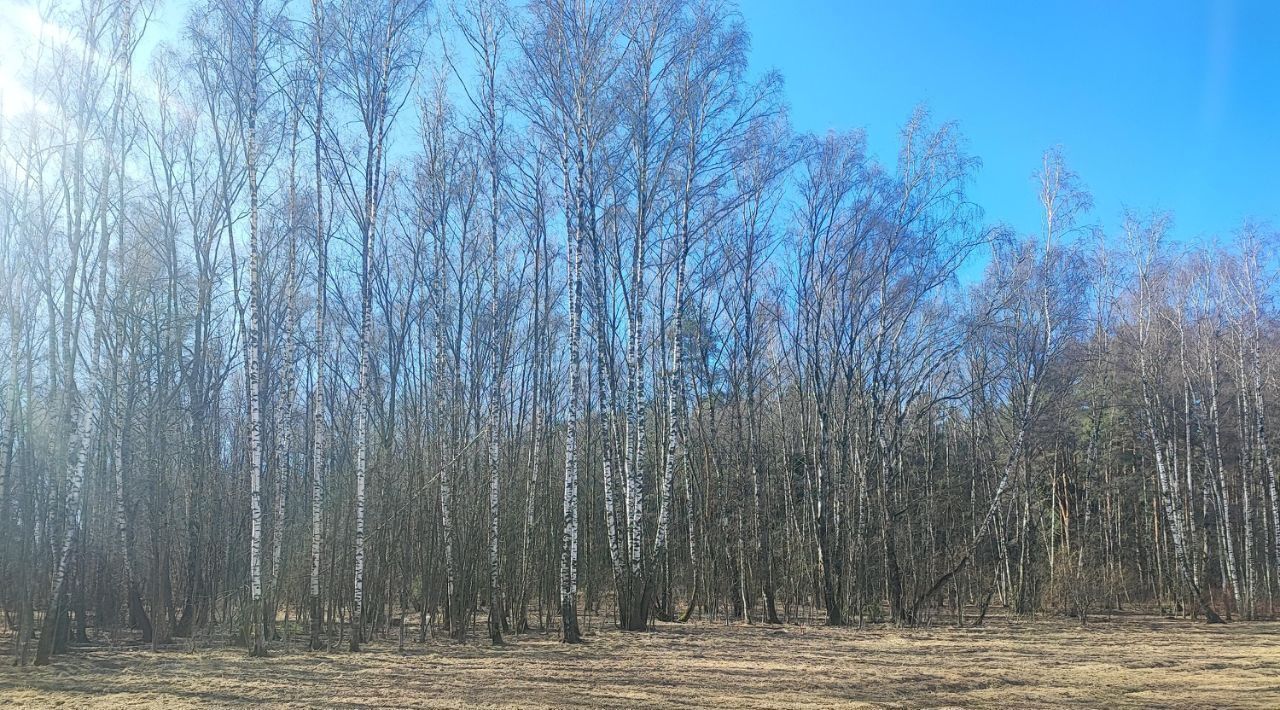 квартира г Москва ул Большое Понизовье 8 Филатов Луг фото 7