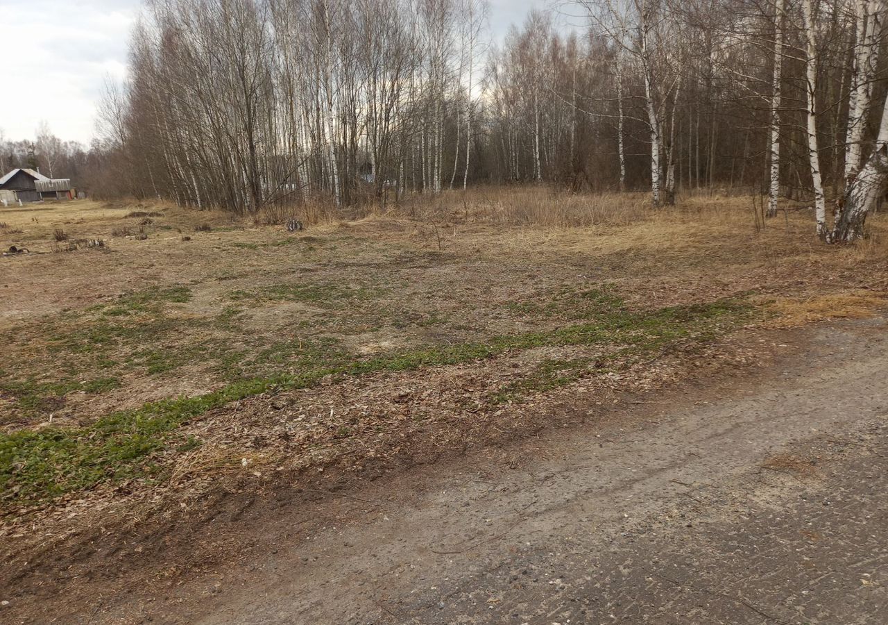 земля г Бор с Линда Центральная ул., 124, д. Шубино фото 7