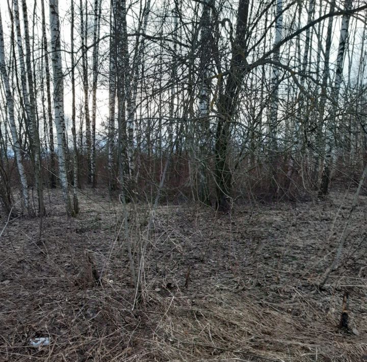 офис г Домодедово д Борисово фото 1