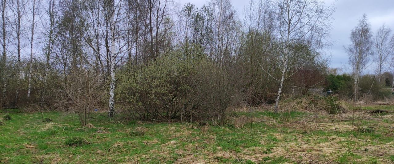 офис г Домодедово д Борисово фото 1