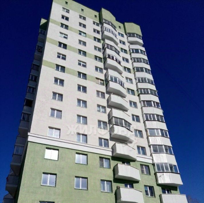 квартира г Новосибирск Берёзовая роща ул Авиастроителей 19 фото 5