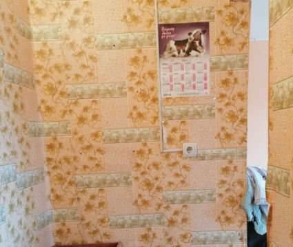 квартира г Красноярск р-н Ленинский ул Мичурина 25 фото 9