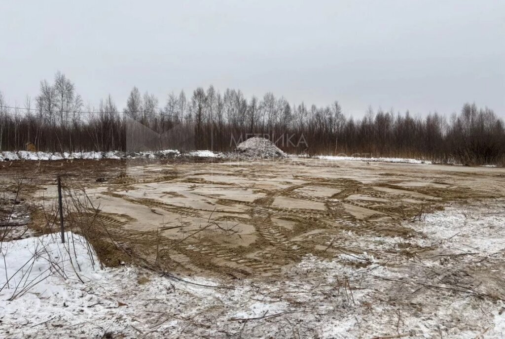 земля г Тюмень снт Большое Царево-2 фото 3