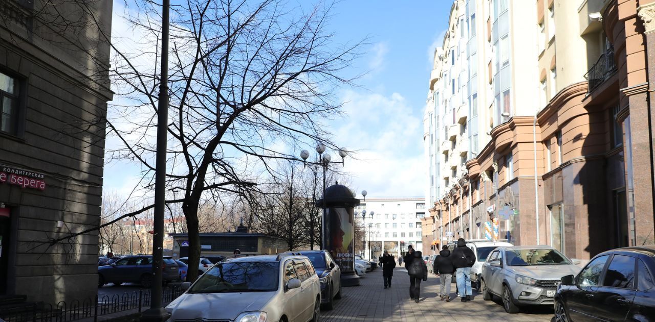 свободного назначения г Санкт-Петербург метро Петроградская пр-кт Каменноостровский 39 фото 4
