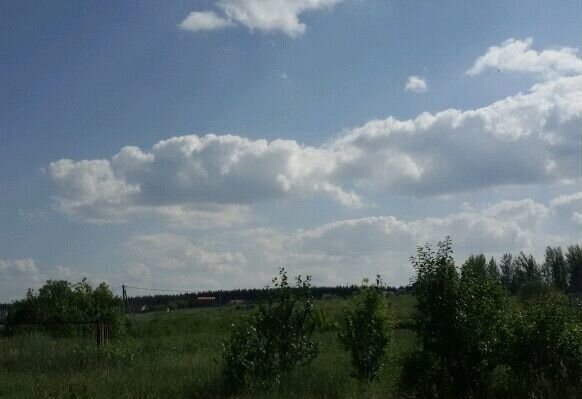 земля ул Нижняя Хреновское сельское поселение, Новая Усмань фото