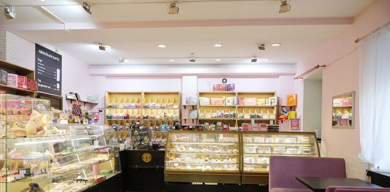 свободного назначения г Санкт-Петербург метро Петроградская пр-кт Каменноостровский 39 фото 12