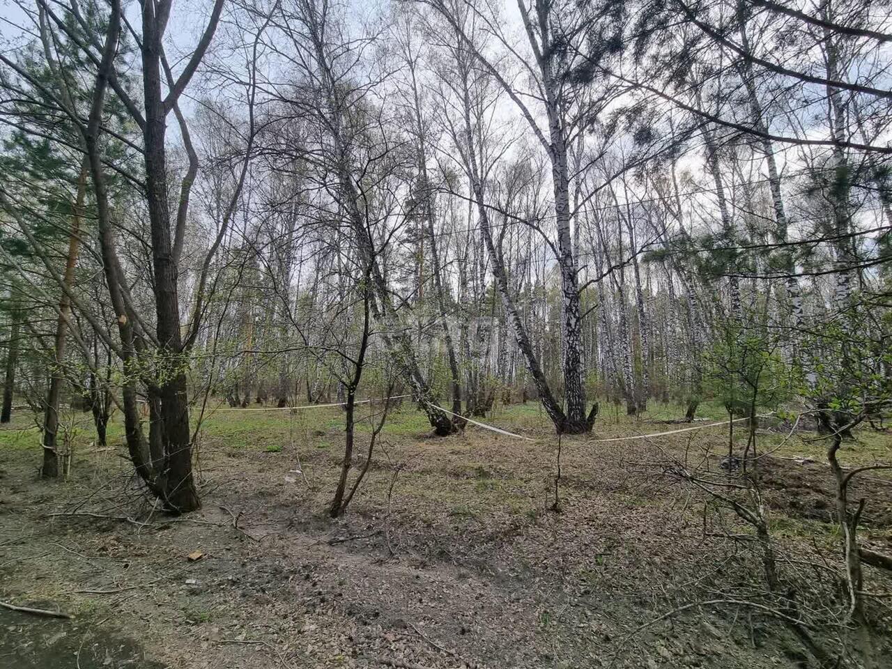 земля г Кемерово р-н Центральный фото 3