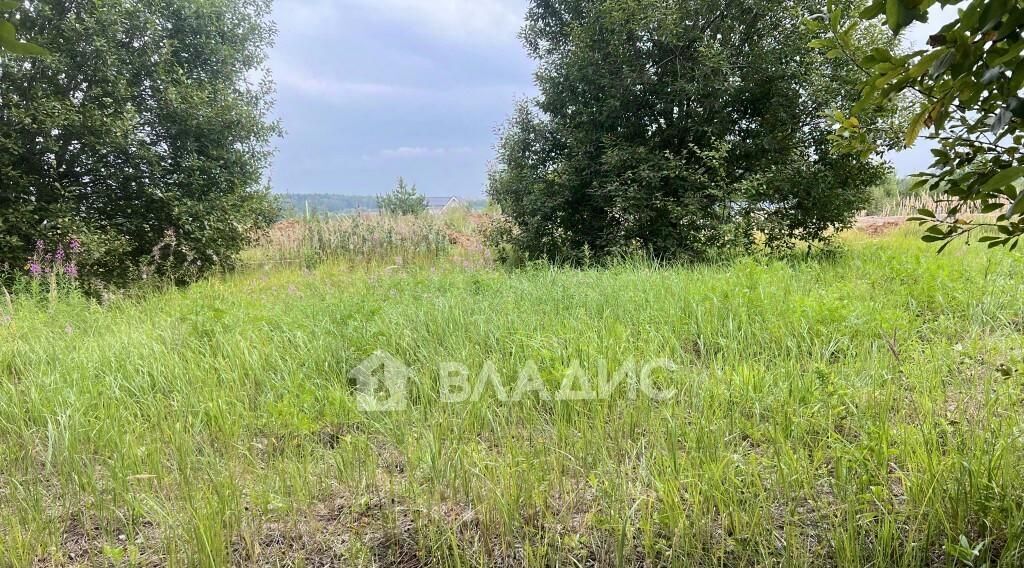 земля г Владимир с Спасское ул Садовая 21 р-н Ленинский фото 3