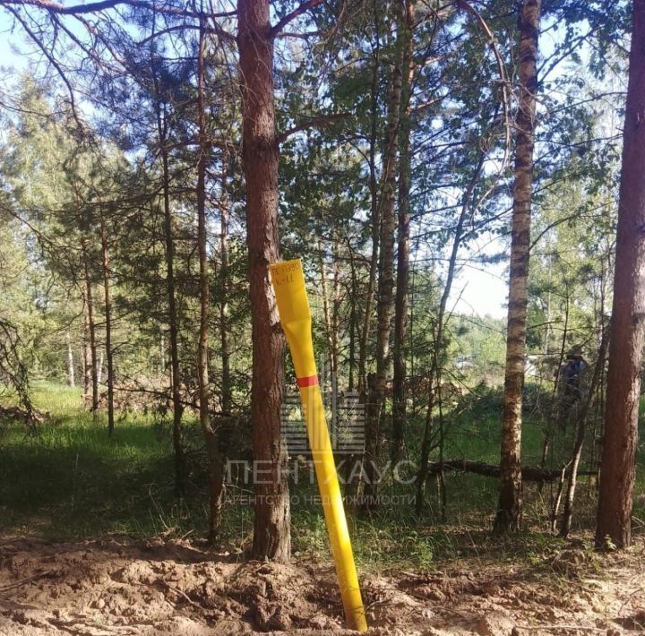 земля г Владимир р-н Октябрьский Сельцо фото 2