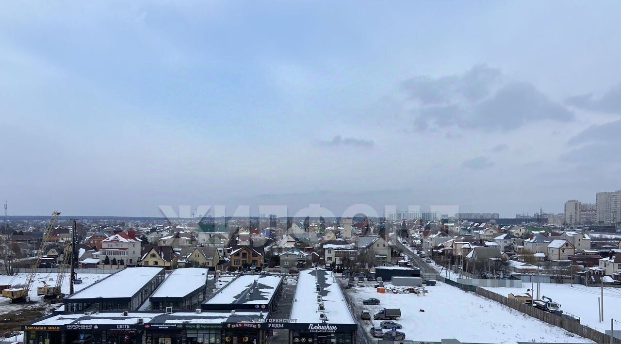 квартира г Воронеж р-н Коминтерновский ул Независимости 78бк/3 ЖК «Галактика 2|3» фото 3