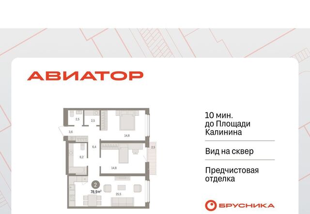 р-н Заельцовский Заельцовская ул Аэропорт 88 фото