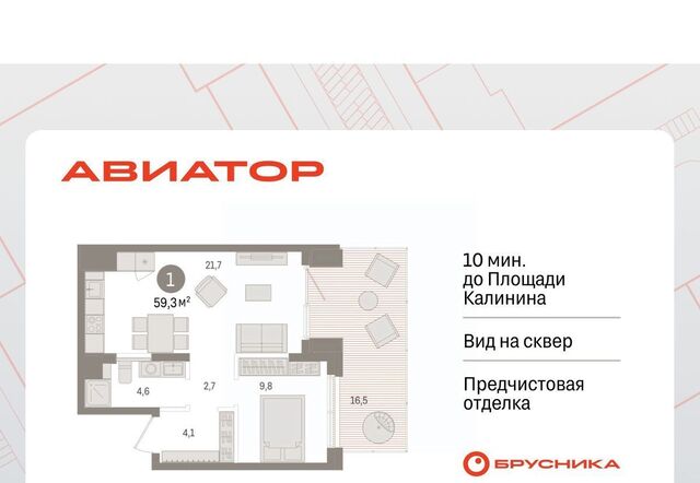р-н Заельцовский Заельцовская ул Аэропорт 88 фото