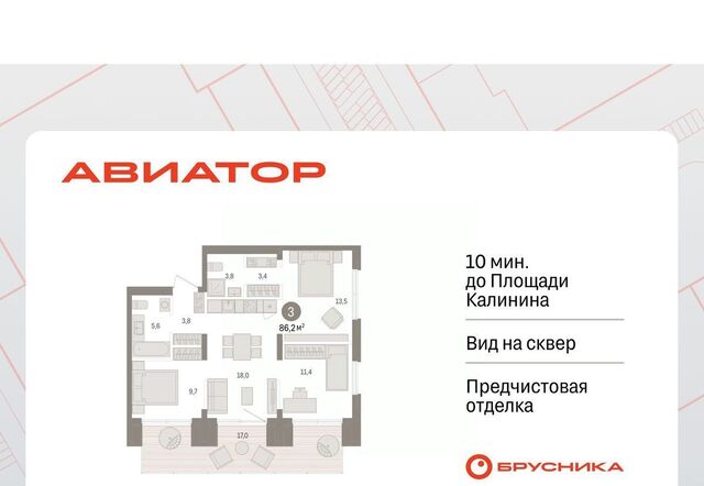 р-н Заельцовский Заельцовская ул Аэропорт 88 фото
