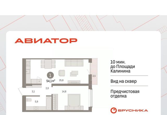 р-н Заельцовский Заельцовская ул Аэропорт 88 фото