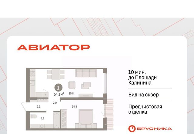 р-н Заельцовский Заельцовская ул Аэропорт 88 фото