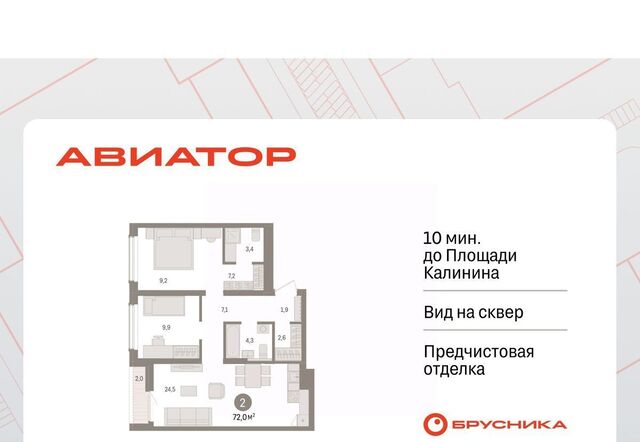р-н Заельцовский Заельцовская ул Аэропорт 88 фото