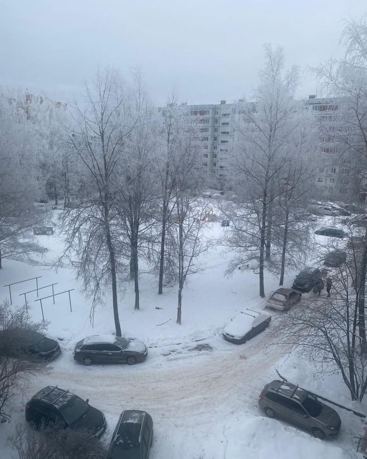квартира г Псков Запсковье ул Звездная 4 фото 20