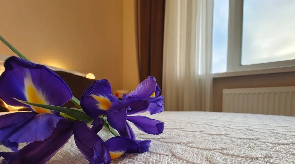комната р-н Анапский г Анапа ул Красноармейская 13 фото 7