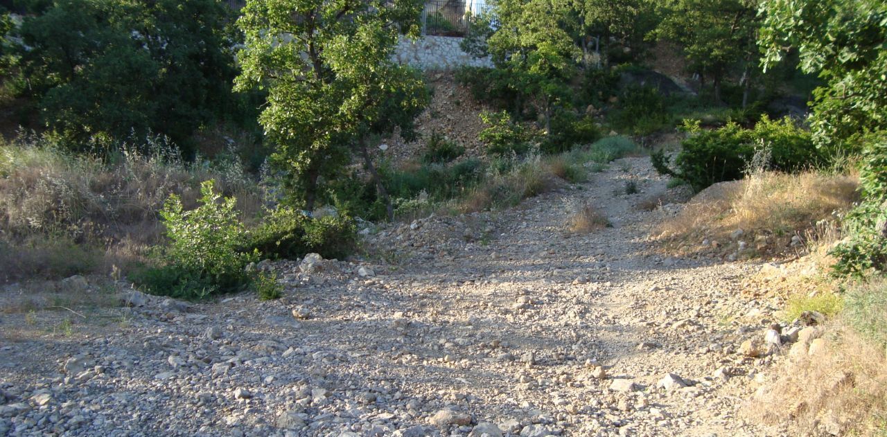 земля г Ялта пгт Гурзуф фото 4