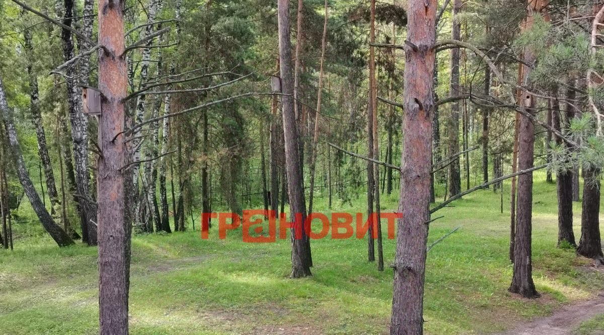 свободного назначения г Новосибирск ул Ленина 12 Площадь Ленина фото 21