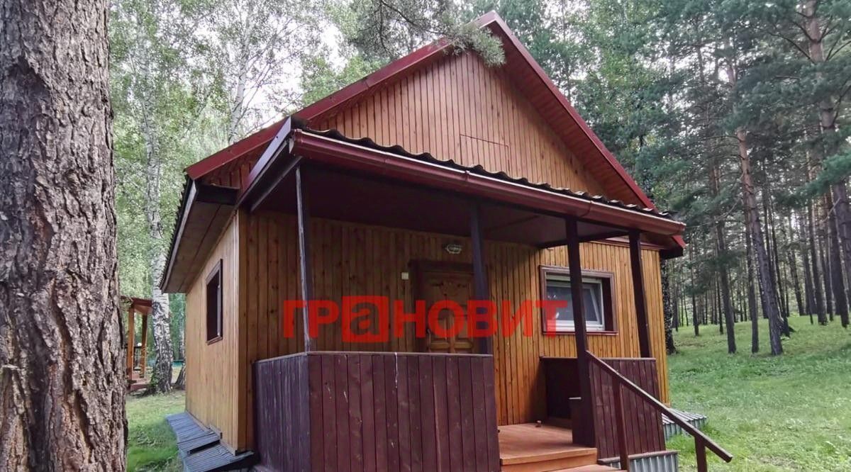 свободного назначения г Новосибирск ул Ленина 12 Площадь Ленина фото 31