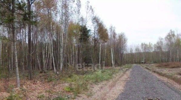 земля г Нижний Тагил р-н Дзержинский ул Щорса 31 фото 10