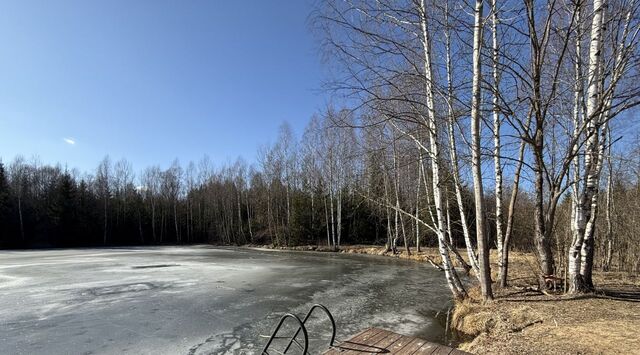 снт Лесное-МИД фото