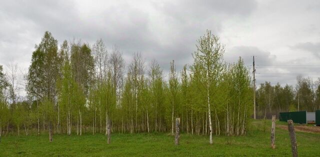 Деревня Петровский уч фото