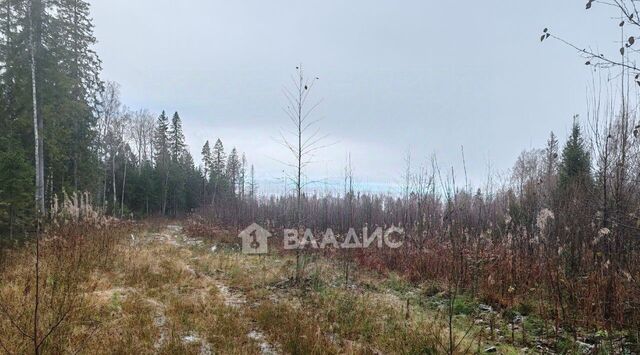 п Уткино ул Озёрная Полянское с/пос фото