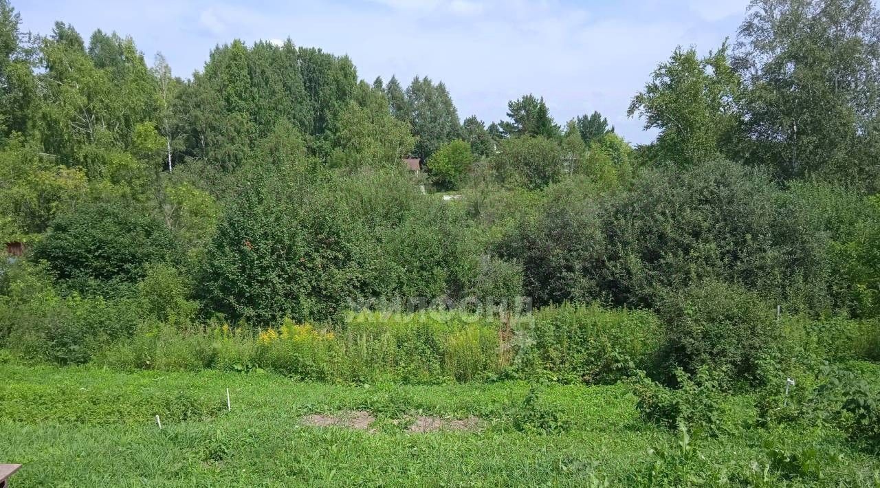 дом г Новосибирск Золотая Нива снт тер.Золотая Горка фото 11