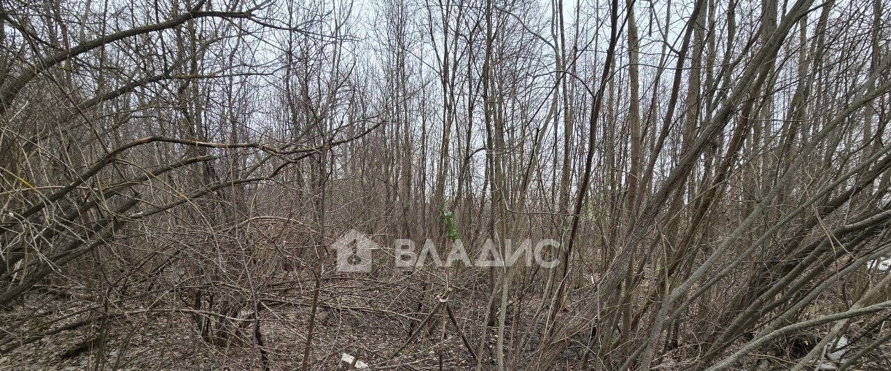 земля г Пенза р-н Железнодорожный ул Санаторный Порядок 39а фото 4
