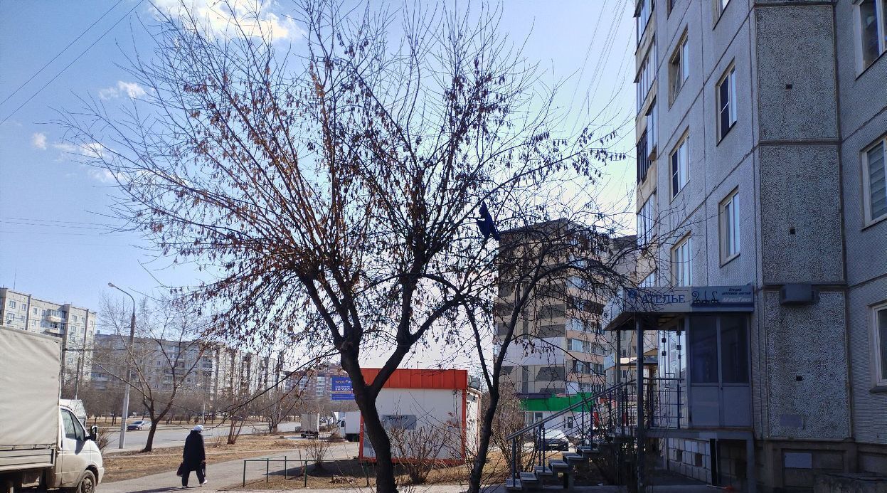 свободного назначения г Красноярск р-н Советский пр-кт Комсомольский 7 фото 4
