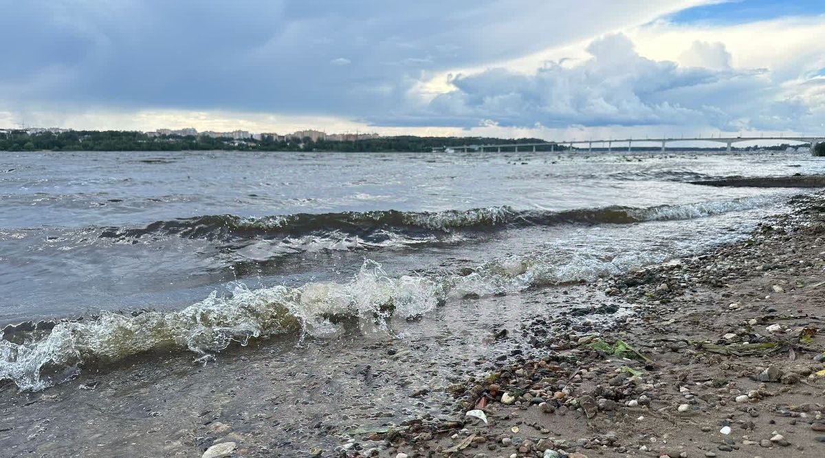 земля г Кострома ул Нариманова 59 фото 9