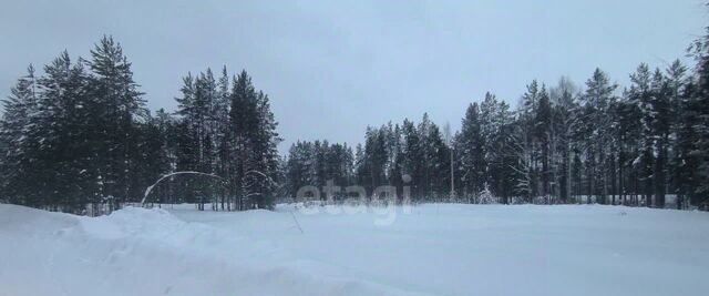 д Пожня муниципальное образование фото