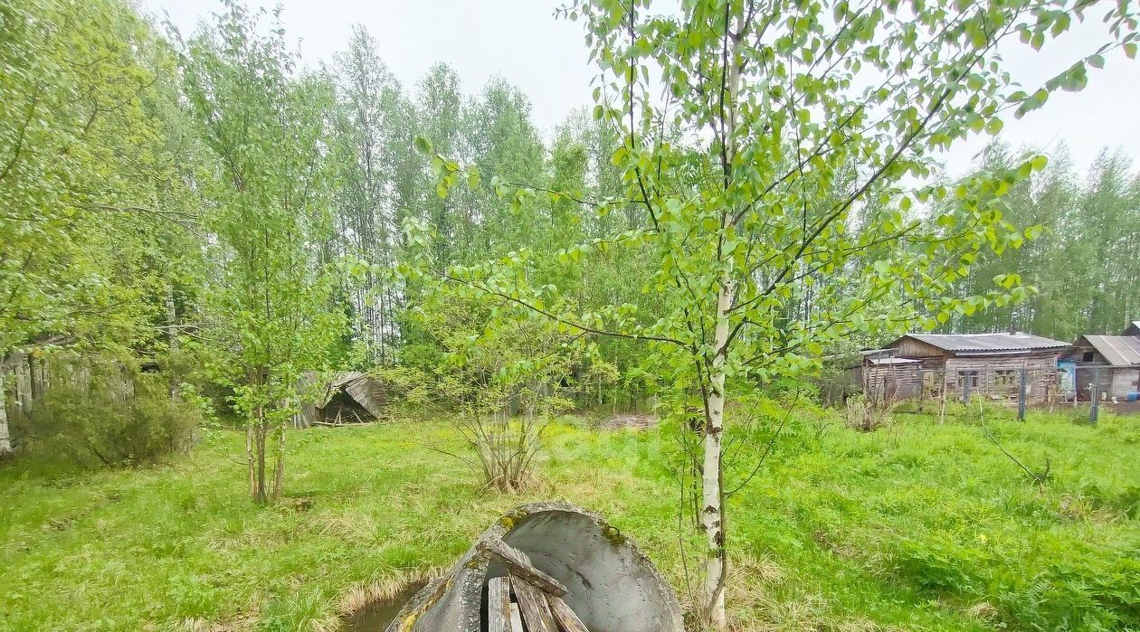 земля г Печора снт Рябинушка Водненский тер., 5, Ухта муниципальный округ фото 4